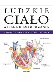 Ludzkie ciało. Atlas do kolorowania