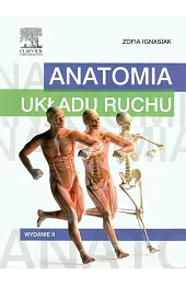 Anatomia układu ruchu