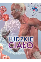 Ludzkie ciałozbiorowa Praca