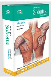 Anatomia Sobotta Flashcards Mięśnie