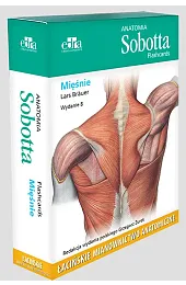 Anatomia Sobotta Flashcards MięśnieBrauer Lars