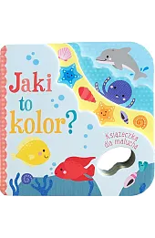 Jaki to kolor?