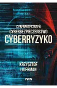 Cyberprzestrzeń, cyberbezpieczeństwo, cyberryzyko
