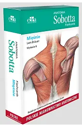 Anatomia Sobotta Flashcards. Mięśnie. Polskie mianownictwo anatomiczne