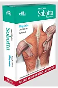 Anatomia Sobotta Flashcards. Mięśnie. Polskie mianownictwo anatomiczne
