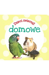 Dzieci zwierząt - domowe