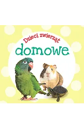 Dzieci zwierząt - domowezbiorowa Praca