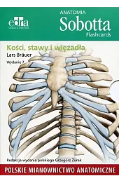 Anatomia Sobotta Flashcards Kości stawy i więzadła