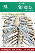 Anatomia Sobotta Flashcards Kości stawy i więzadła