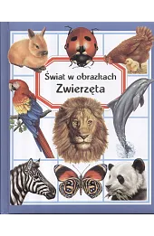 Zwierzęta. Świat w obrazkach
