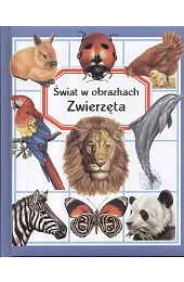 Zwierzęta. Świat w obrazkachEmilie Beaumont