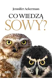 Co wiedzą sowy?