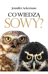 Co wiedzą sowy?Ackerman Jennifer