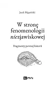 W stronę fenomenologii niezjawiskowej. Fragmenty pewnej historii