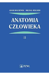 Anatomia człowieka Tom 2