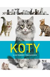 Koty. Ilustrowany przewodnik