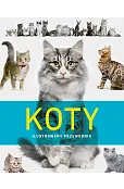 Koty. Ilustrowany przewodnik