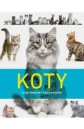 Koty. Ilustrowany przewodnikzbiorowa Praca