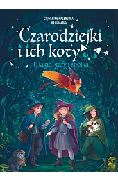 Czarodziejki i ich koty. Magia, gafy i spółka