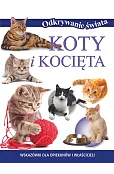 Odkrywanie świata. Koty i kocięta