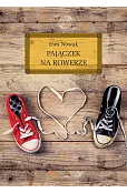Pajączek na rowerze