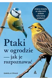 Ptaki w ogrodzie – jak je rozpoznawać