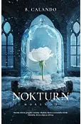 Nokturn