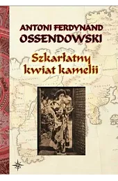 Szkarłatny kwiat kamelii BR w.2022