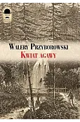 Kwiat agawy