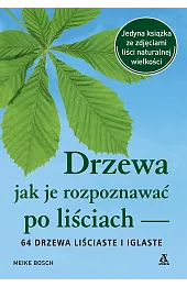 Drzewa – jak je rozpoznawać po liściach