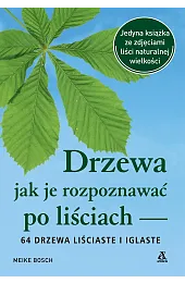 Drzewa – jak je rozpoznawać po,Meike Bosch