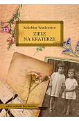 Ziele na kraterze