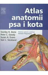 Atlas anatomii psa i kota