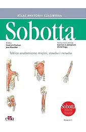 Tablice anatomiczne mięśni, stawów i nerwów. Angielskie mianownictwo