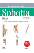 Tablice anatomiczne mięśni, stawów i nerwów. Angielskie mianownictwo