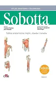 Tablice anatomiczne mięśni, stawów i nerwów. Łacińskie mianownictwo