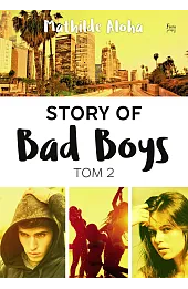 Story of Bad Boys. Tom 2