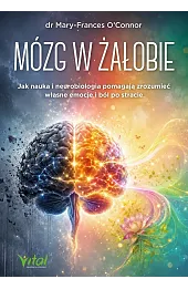 Mózg w żałobie. Jak nauka i neurobiologia pomagają zrozumieć własne emocje i ból po stracie